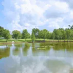 Leesburg - Lakes at Leesburg - 10