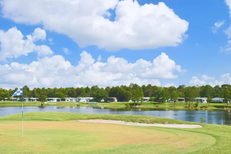 Leesburg - Lakes at Leesburg - 11