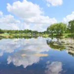 Leesburg - Lakes at Leesburg - 12