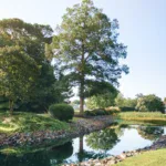 Lewes - Angola Beach Estates - 05