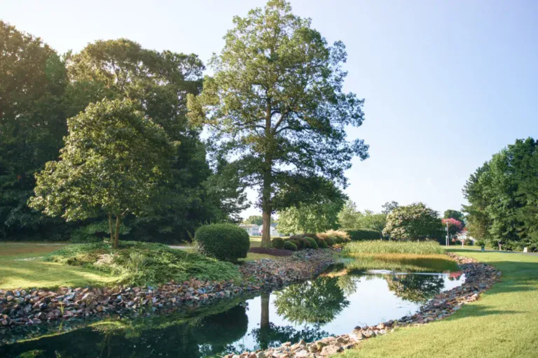 Lewes - Angola Beach Estates - 05