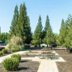 Sacramento - Colonial Estates - 14