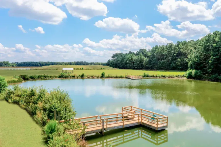 Seaford - Village of Cool Branch - 05