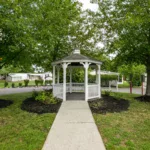 Vineland - Berryman's Branch - 05