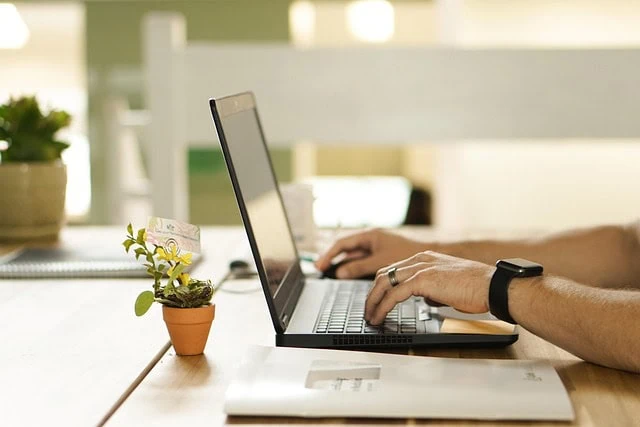 Plant in small terracotta pot with money note, working on laptop at desk, modern workspace, active business environment, productivity and finance concept, linked to professional services and digital work.
