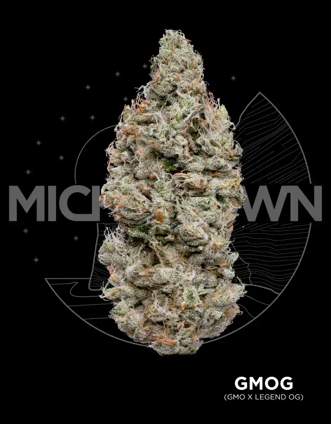GMO OG