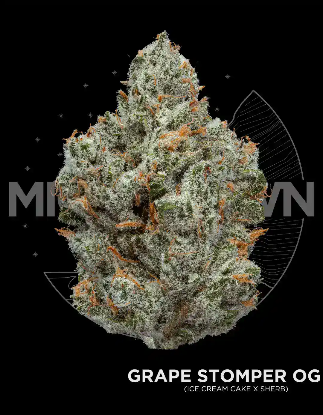 Grape Stomper OG