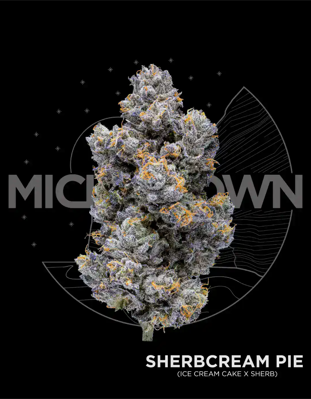 Sherbcream Pie (Sherblato)