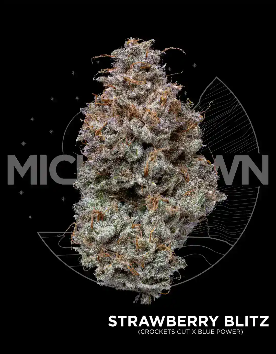 Strawberry Blitz