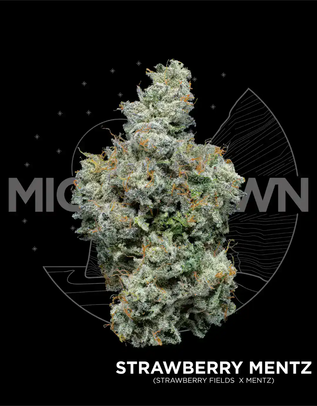 Strawberry Mentz
