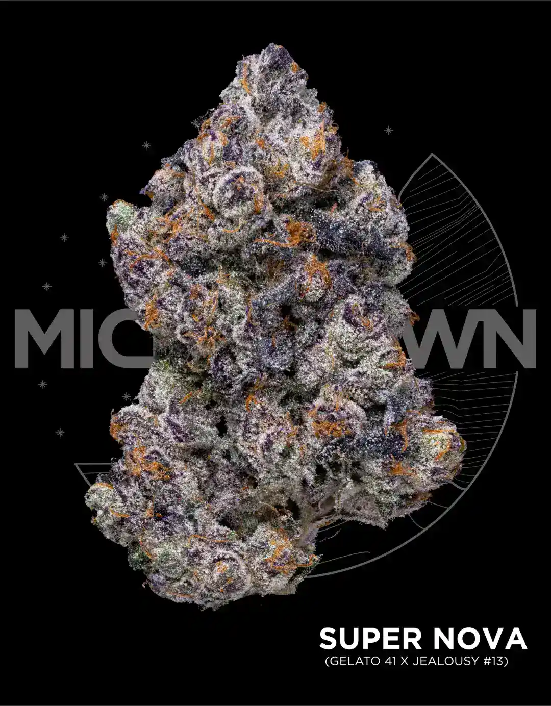 Super Nova