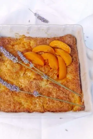 Présentation Gateau moelleux aux abricots