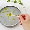 une huile de coriandre qui peut faire une très jolie présentation. Dans la catégorie des sauces et condiments maison