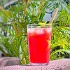 un jus de pastèque très rafraichissant !