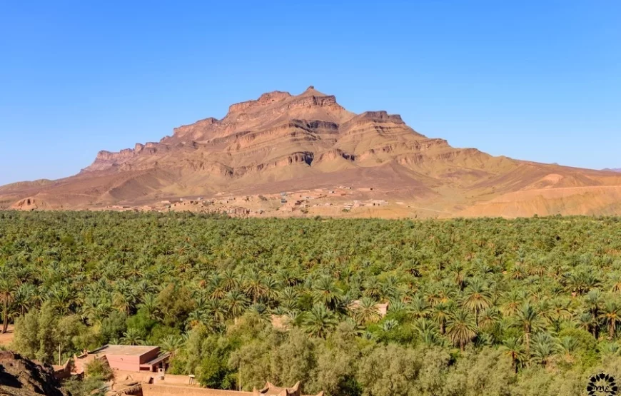 2 Day Desert Tour from Marrakech to Zagora