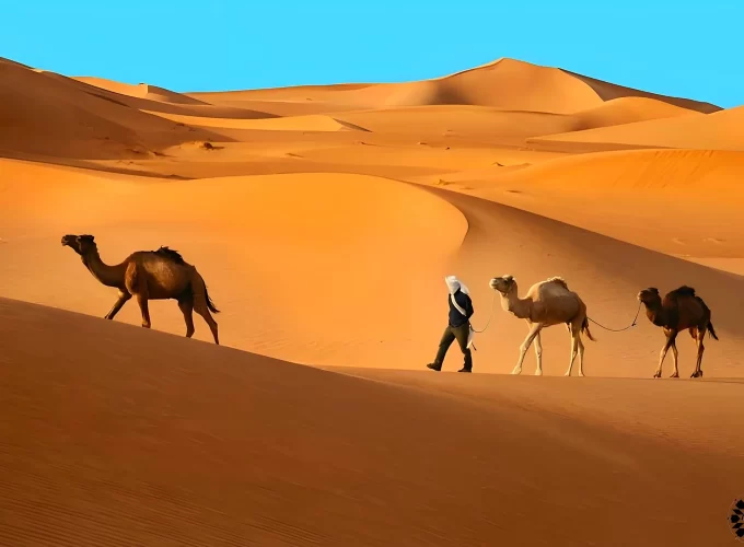 Merzouga dunes