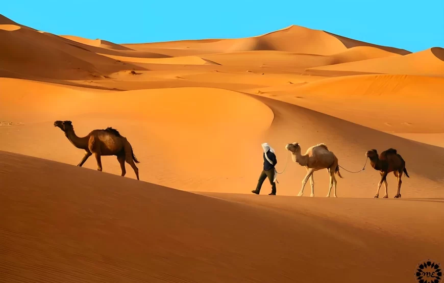 3-Day Tour From Marrakech To Merzouga Desert