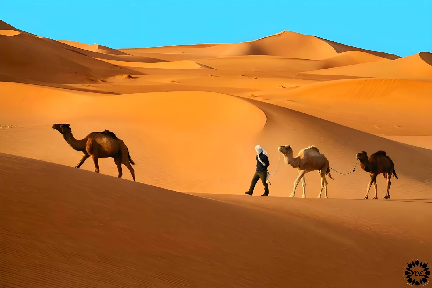 3-Day Tour From Marrakech To Merzouga Desert