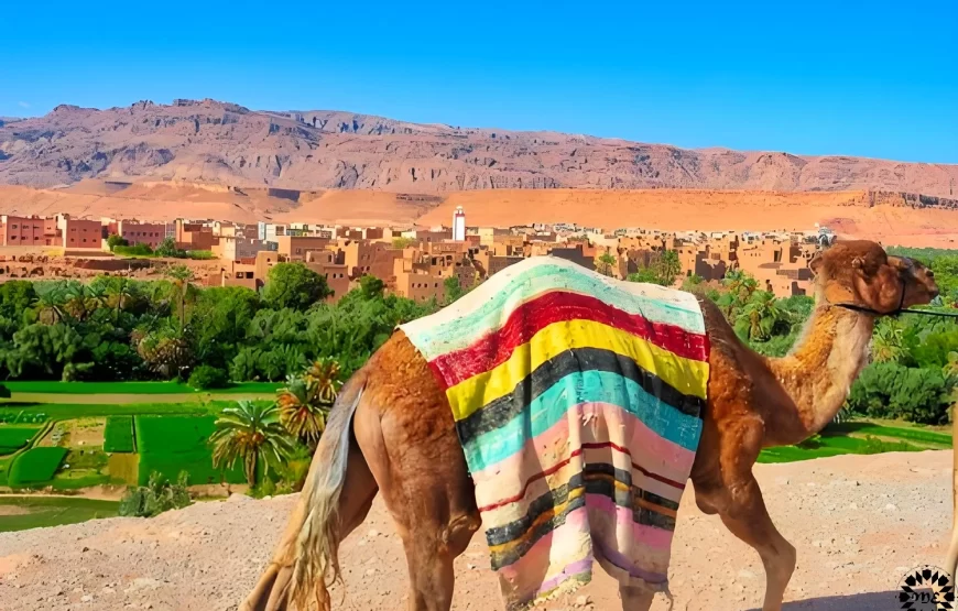 3-Day Tour From Marrakech To Merzouga Desert