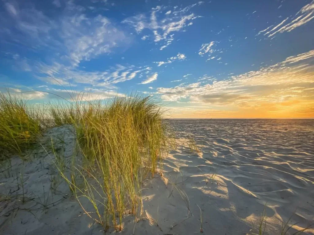 37 Best Things to Do in St. Simons Island, GA (2025)