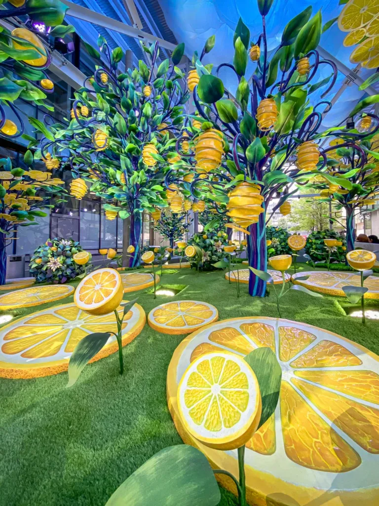 Citrovia New York: A Whimsical Outdoor Art Installation on the