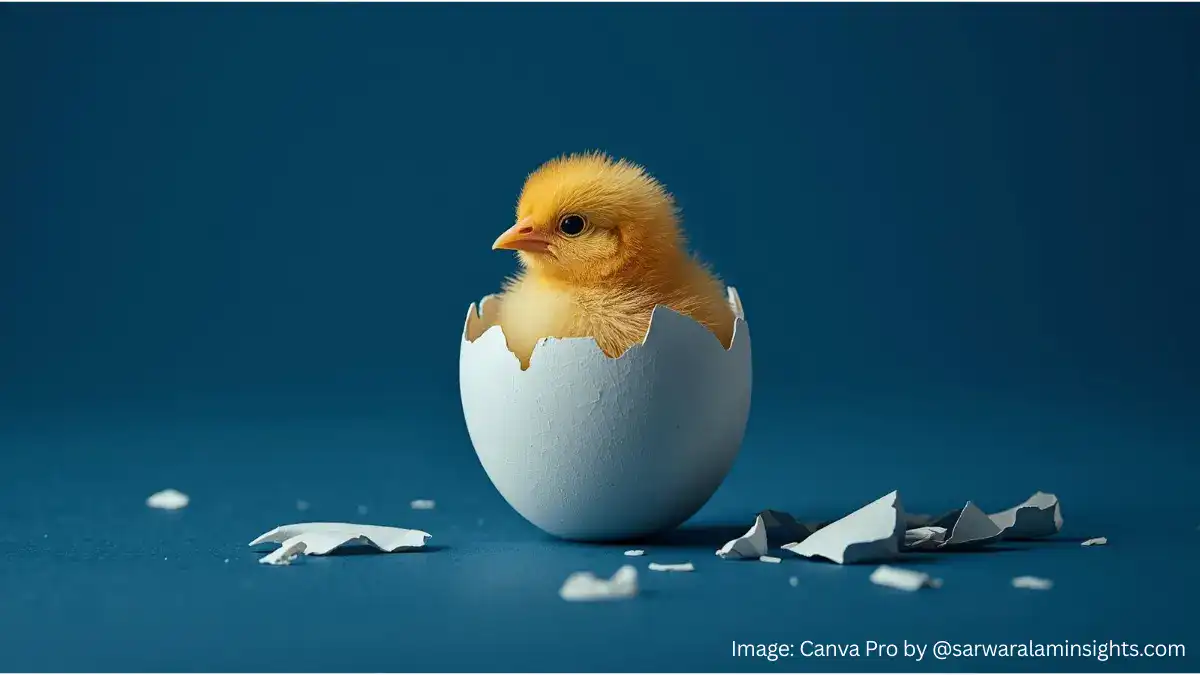 Growth Outside Your Comfort Zone and long-term career development