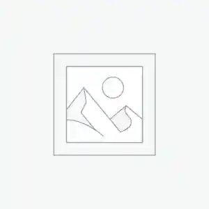 Uncategorized