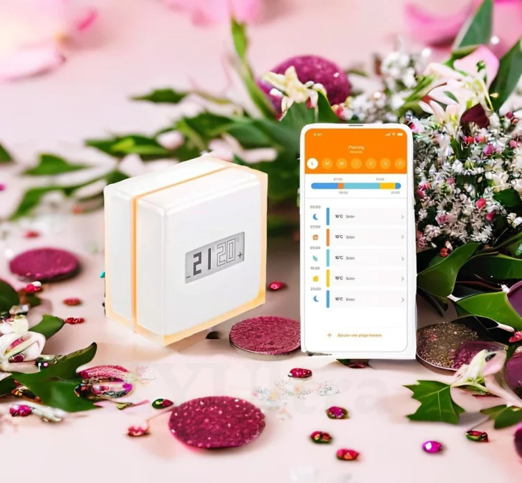 Netatmo Smart Thermostat