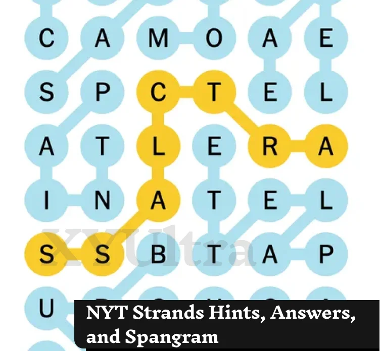 NYT Strands Hints, Answers, and Spangram: December 19th