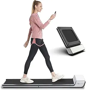 Most Portable – WalkingPad X25 Double-Fold Treadmill