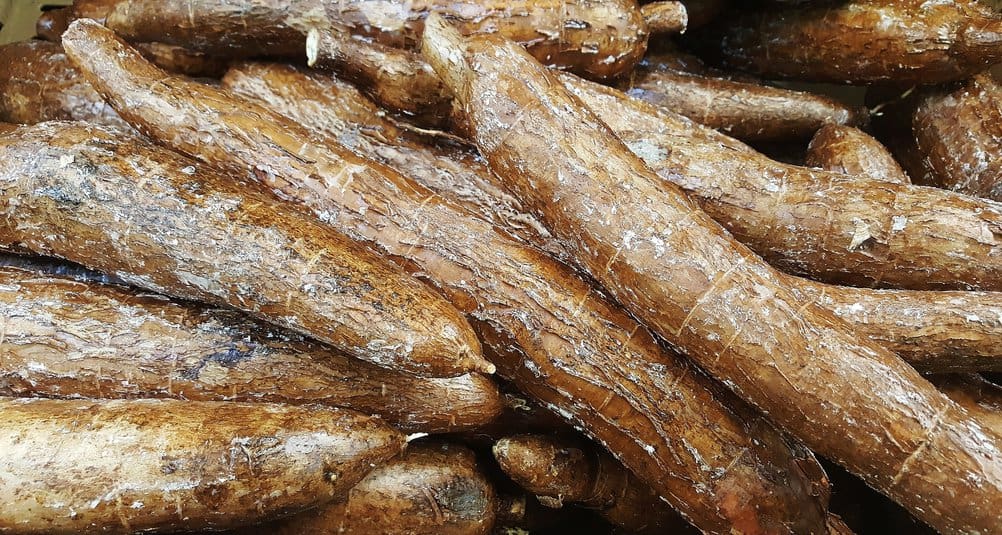 Cassavapizza Pizzabotten Av Cassava Aip Halsa Som Livsstil