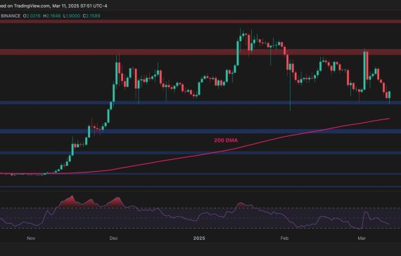 Investor Insights for How to Read XRP Charts: Technical Analysis for Beginners