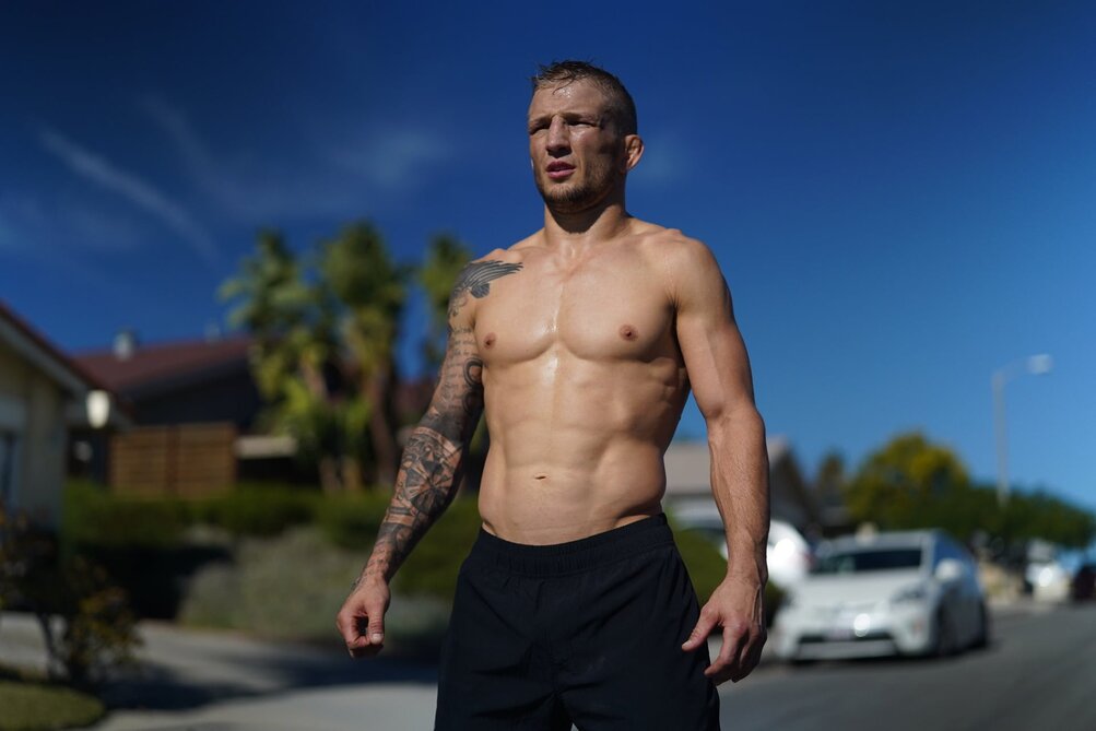 Movements Over Muscles: How Functional Training Builds Superior… – Tj  Dillashaw