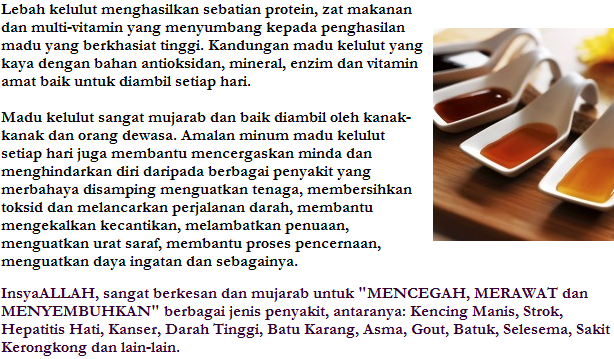Madu Kelulut Hutan Asli 150 Grams Rizhaza Shoppe