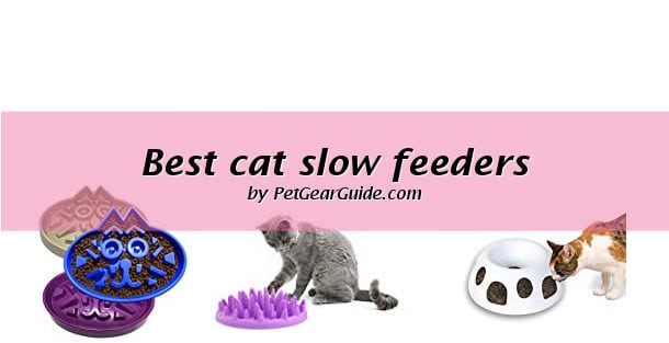 Top 11 Best Cat Slow Feeders And Puzzle Feeders To Buy Updated 2020