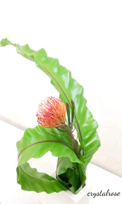 １輪のピンクッションとたにわたりで空間を生かしてお花を飾る 草月流いけばな 東京立川 国立 国分寺 草月流いけばな教室 フラワーアレンジメント教室 オーダー アトリエクリスタルローズ