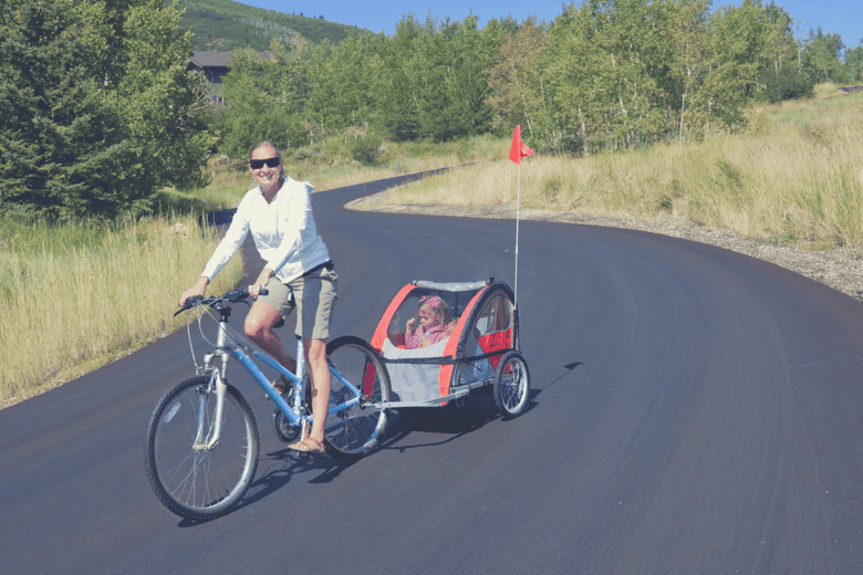 schwinn joyrider accessories