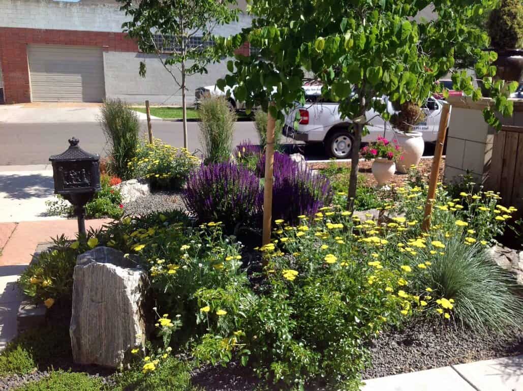 Decomposed Granite Landscape Ideas Installation Tips Igra World