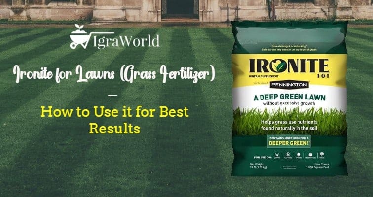 Ironite For Lawns Grass Fertilizer How To Use For Best Results