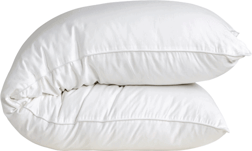 Best Full Body Pillow In India Coirfit Bodymate Body Pillow