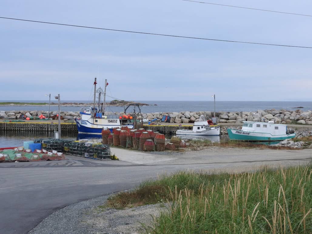 Bob S Newfoundland Lumsden