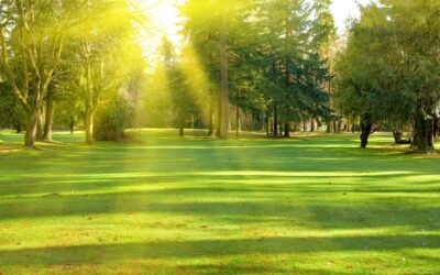 What Is The Greenbelt Tax Exemption in Tennessee?