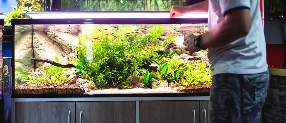 freshwater tank setup