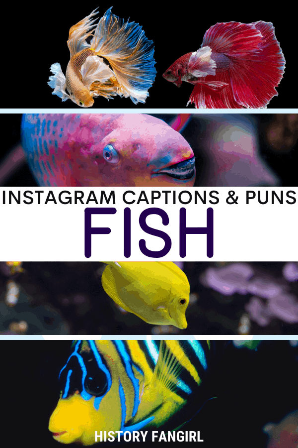 funny fishing captions