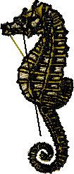 Seahorse