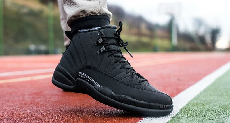 the new jordan 12s