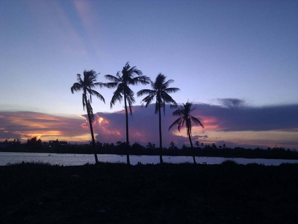 Pemandangan senja di tepi pantai. Innovative Royby Com