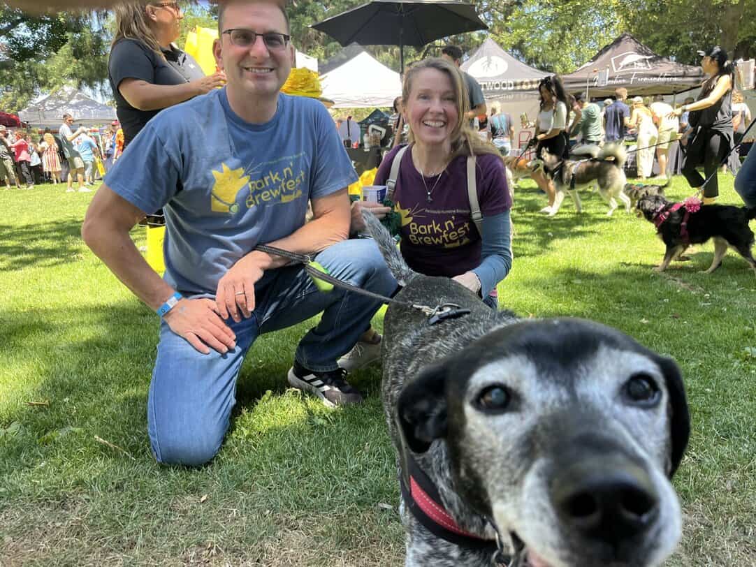 Phs Spca Spca Peninsula Instagram Peninsula Humane Society And