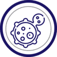 autophagy