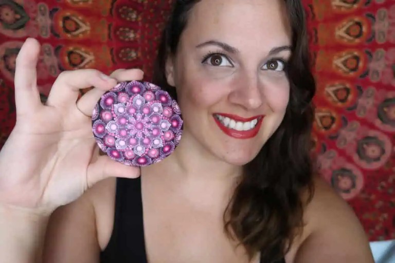 How To Dot Paint Rocks Tips And Tricks With Lydia May